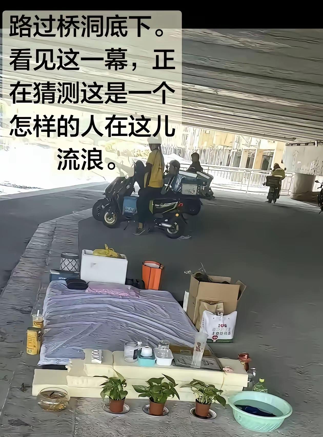 钓鱼佬：家人们，我成了流浪汉[捂脸哭]