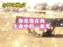 功德无量：经常投喂的流浪狗，生了三只小狗，其中一只狗先天残疾没有双手，把这只狗带