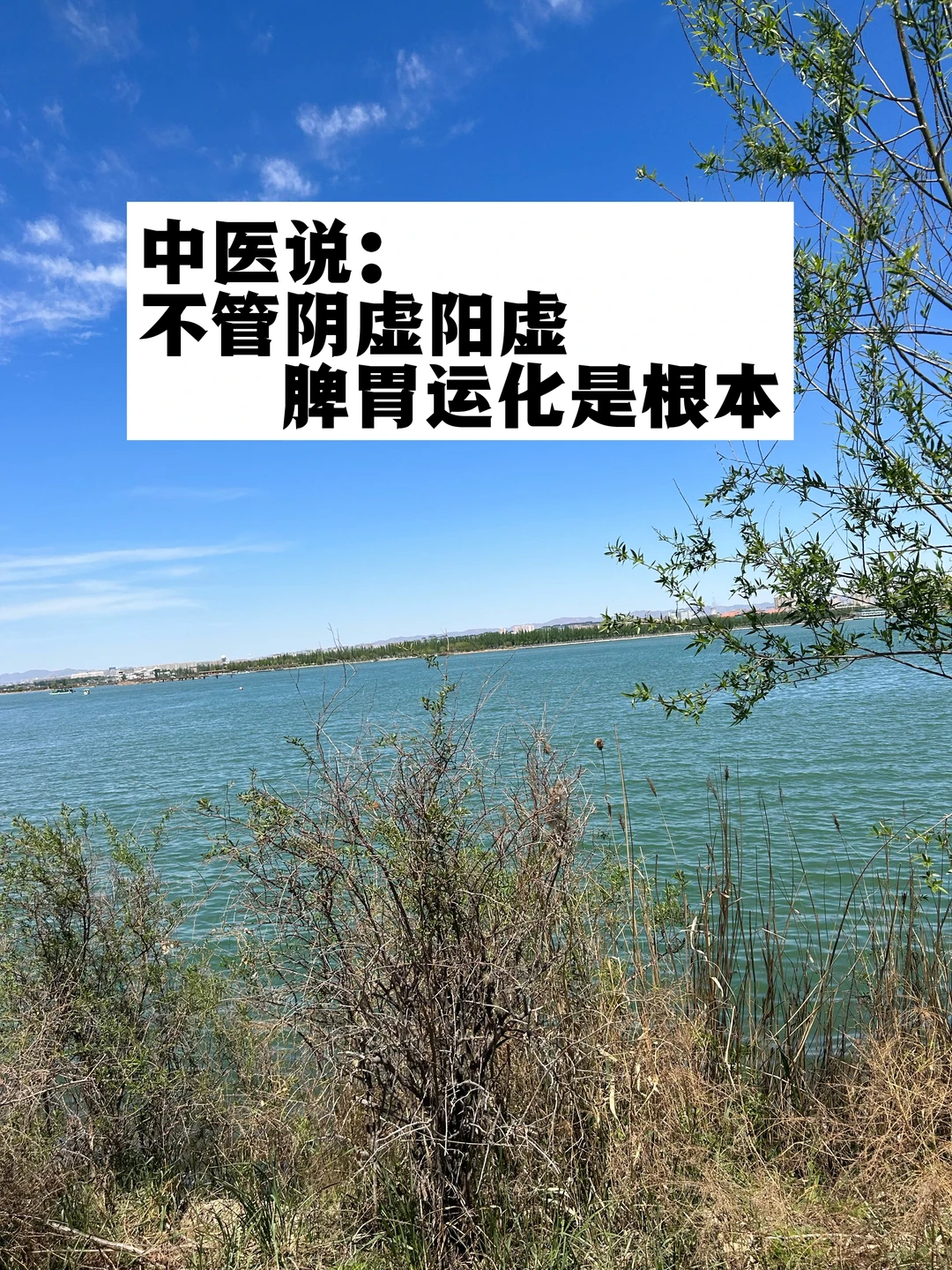 中医说：不管阴虚阳虚，脾胃运化是根本.