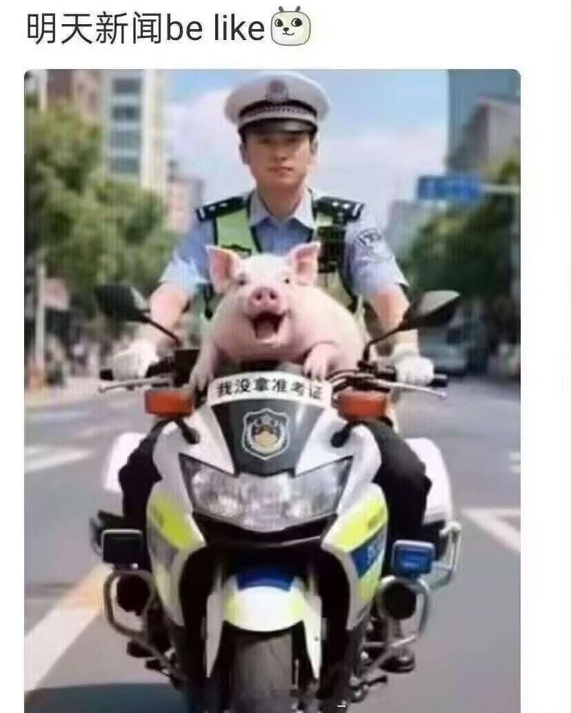 每年固定npc…走错忘带迟到​​​