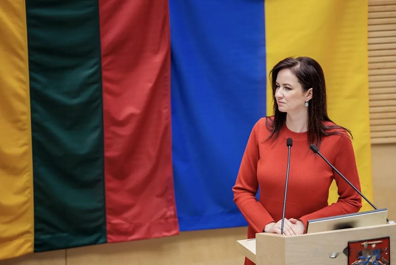 立陶宛议会警告：在对华发出缓和信号后，中国半年都没有回应，接下来不排除采取其他行