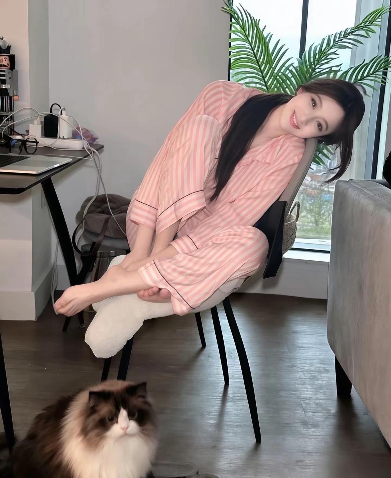 好靓的猫了啊
