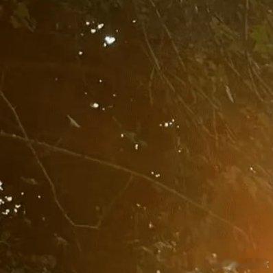 每日一善再长的路，一步步也能走完，再短的路，不迈开双脚也无法到达，还在咬牙坚持