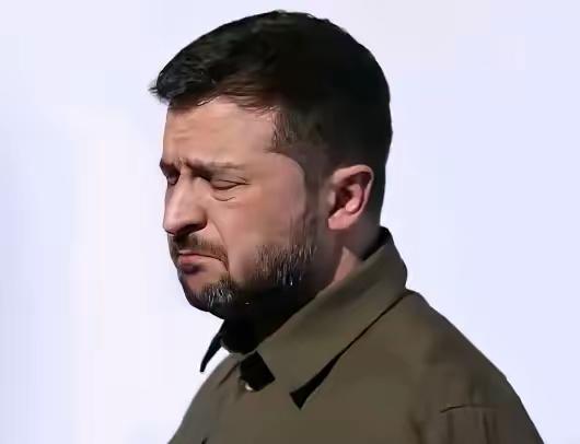 如果再给泽连斯基一次机会，他还会去惹俄罗斯吗？不是泽连斯基愿意去惹俄罗斯，是