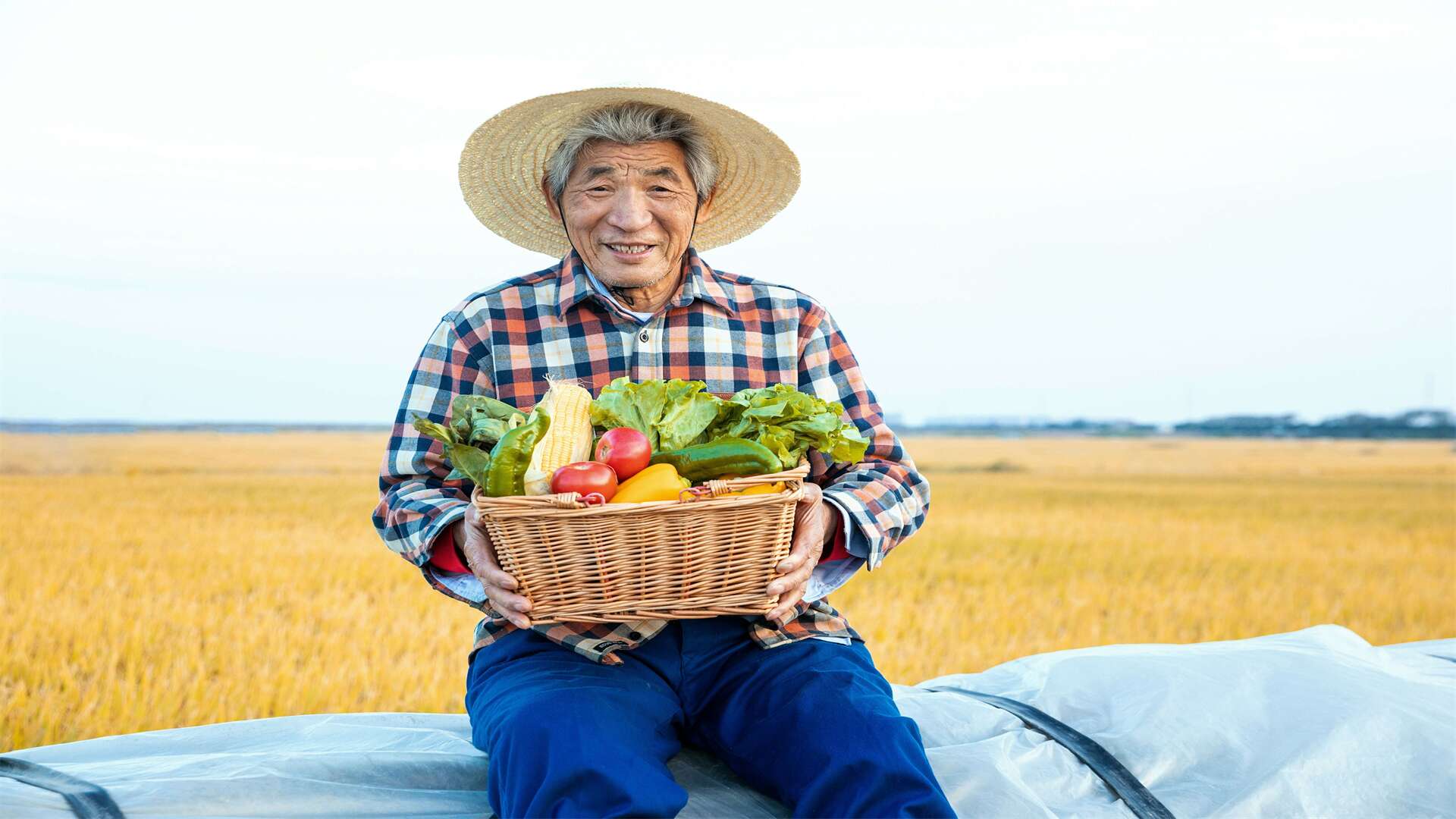 豌豆种植技术: 选种、播种、摘心, 提升产量和品质