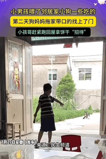 万物皆有灵性！安徽，小男孩投喂了一次邻居家的狗崽，隔天狗妈妈拖家带口的就找上了门