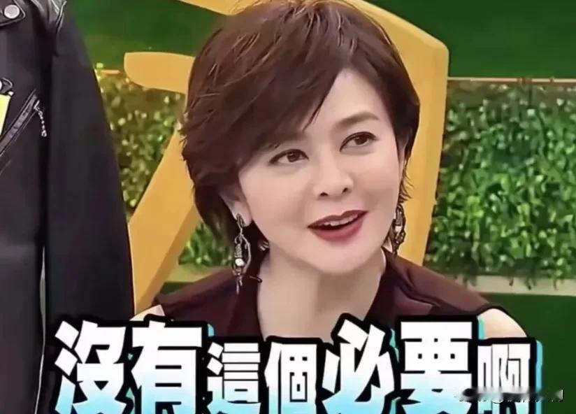 蔡康永问关之琳，“你是不是一辈子没有自己追过别人？”关之琳说:“没有这个必要啊