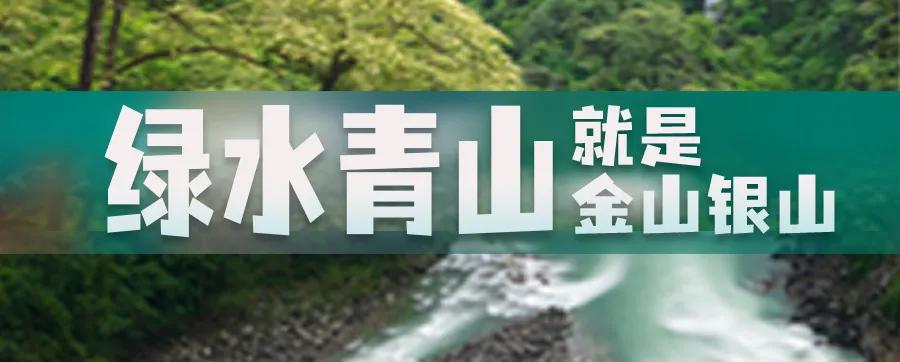 喜讯! 草果成功列入国家农业植物品种保护名录