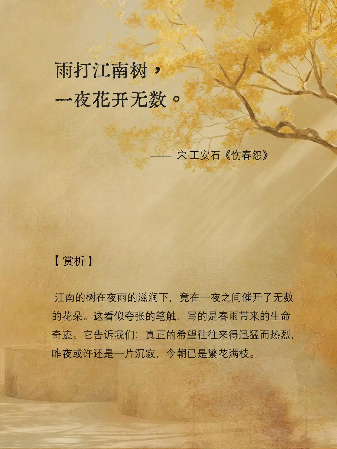 宋词里下了千年的雨。 ​