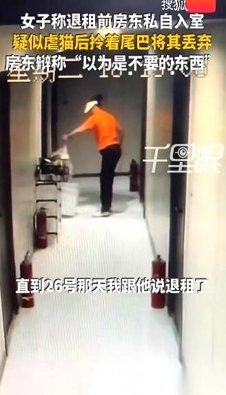江苏苏州，租客李女士刚跟房东说月底不续租，当晚下班回来就发现自己养的猫不见了。调