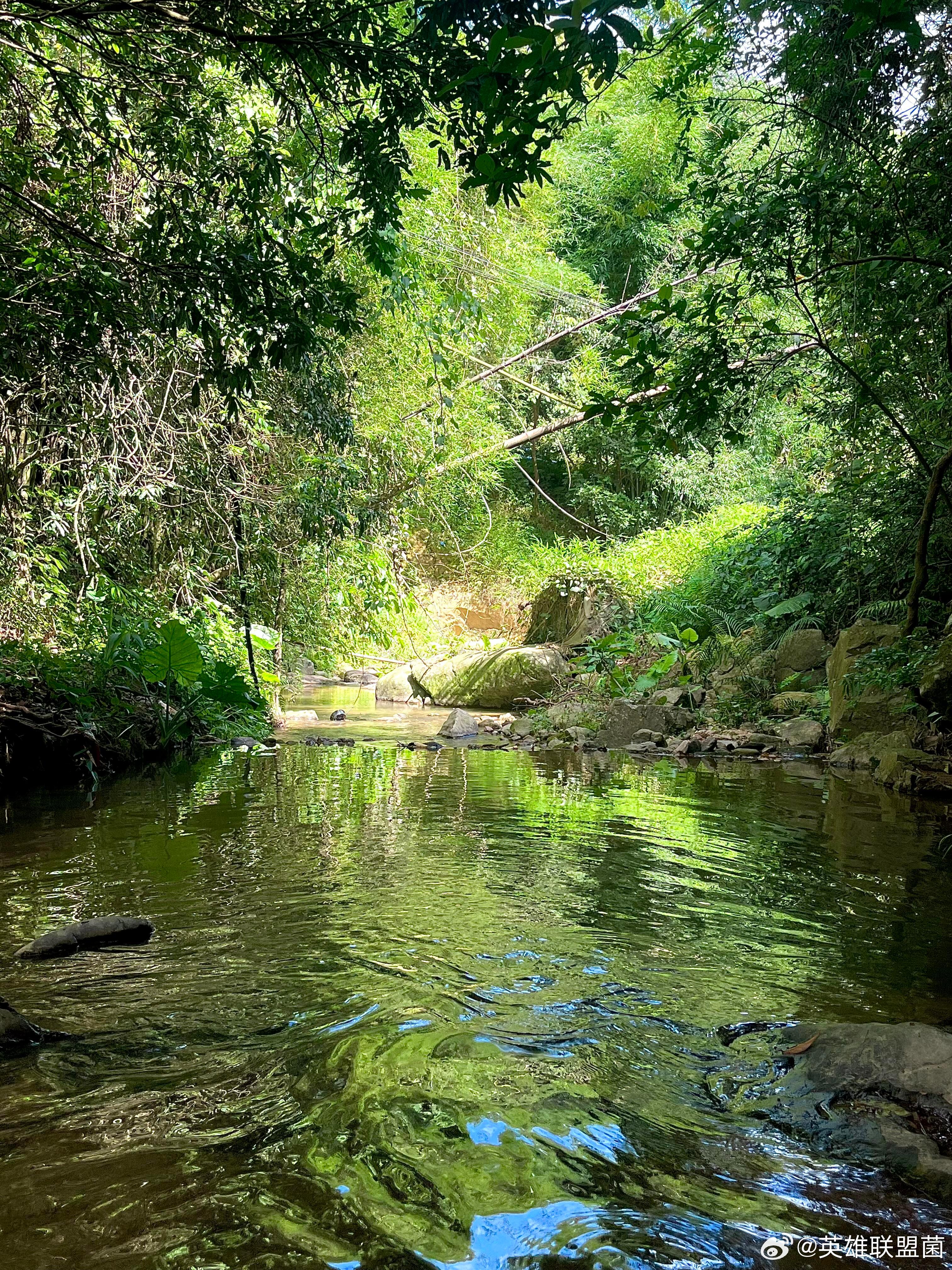 夏天就适合玩水！暂停爬山出来露营玩水啦​​​