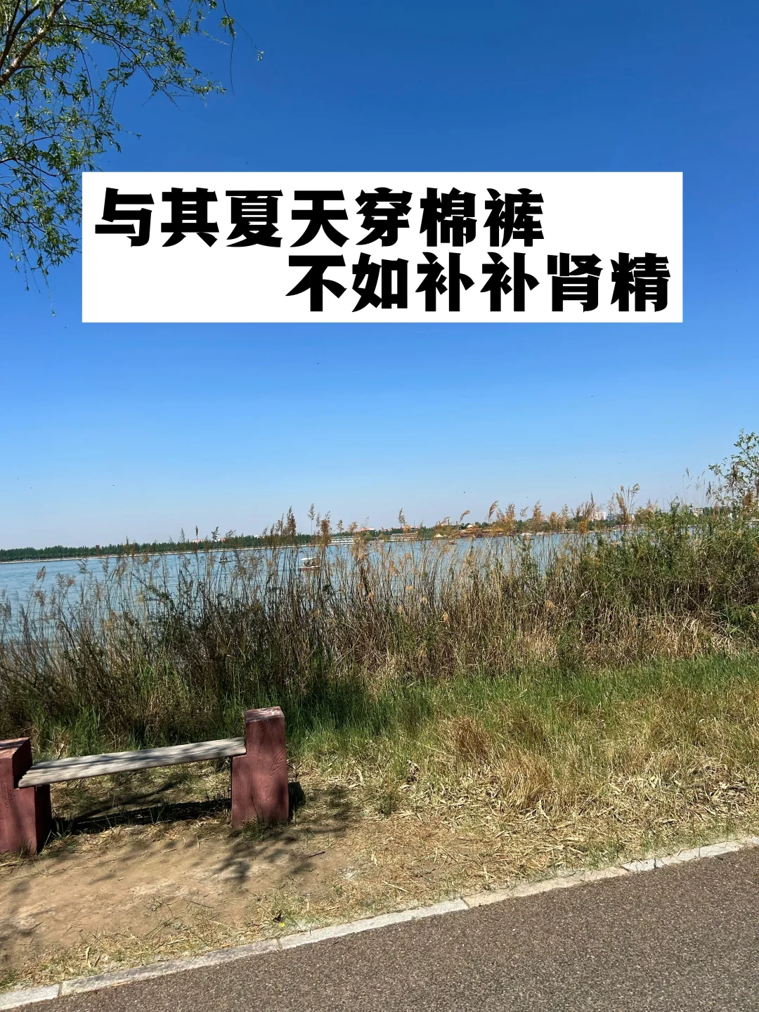 与其夏天穿棉裤，不如补补肾精.