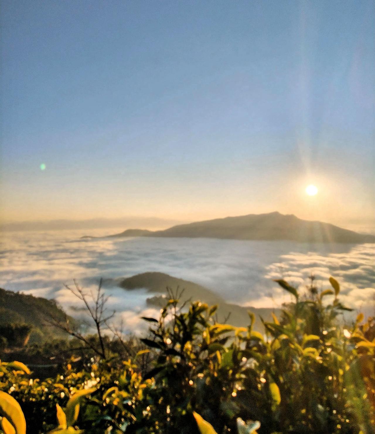 晨曦初露，云海翻腾，山峦若隐若现，静谧而壮丽。观赏邦东云海，品尝昔归茗茶，那着实