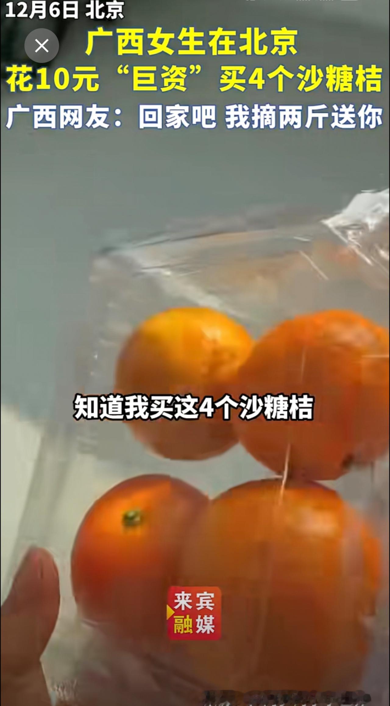 广西女生在北京花10元“巨资”买4个沙糖桔，广西网友：回家吧，我摘两斤送你