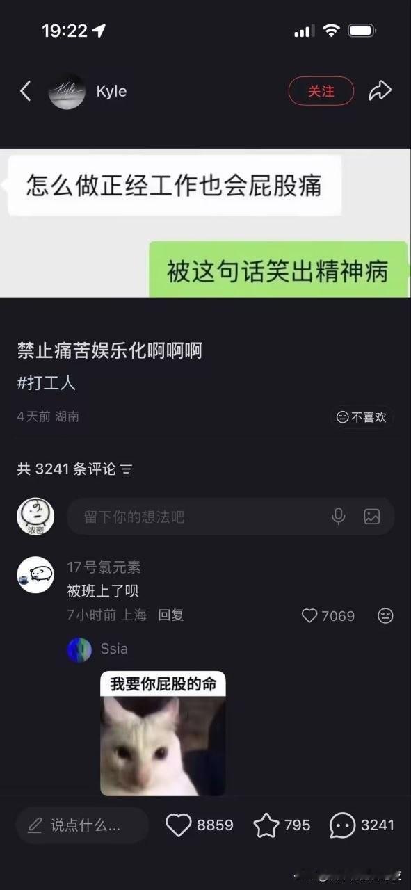 总有高手