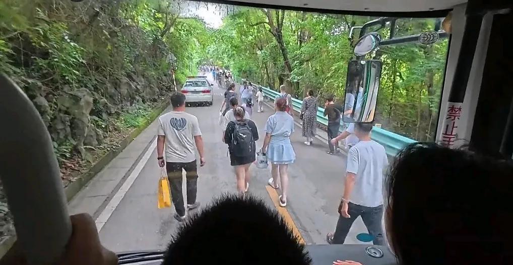看到黄果树景区，有游客故意阻挡摆渡车，而且还与司机发生冲突，于是很多网友指责这家