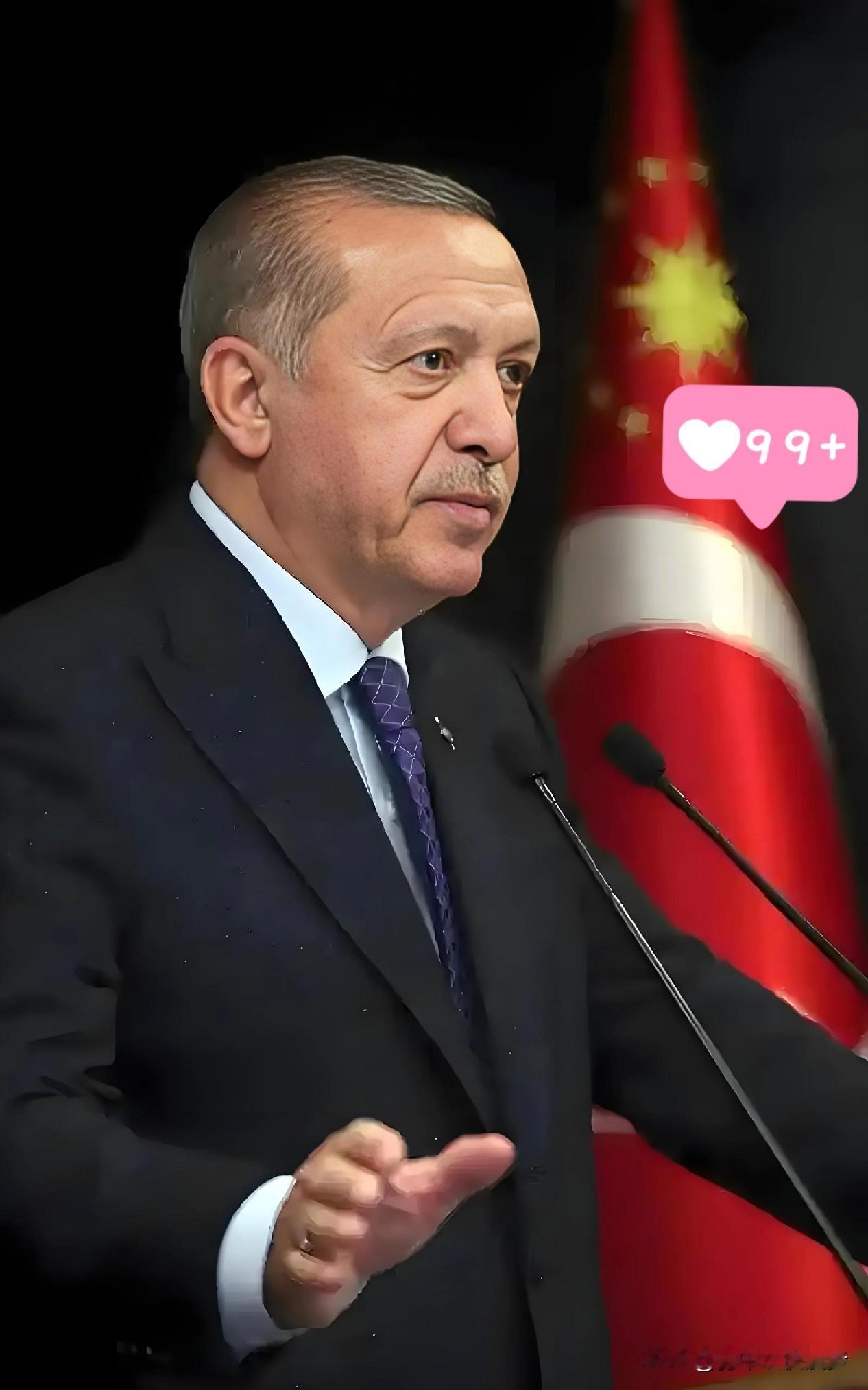 土耳其🇹🇷传来好消息！2026年1月1日，据央视新闻、新华网等权威媒体报道