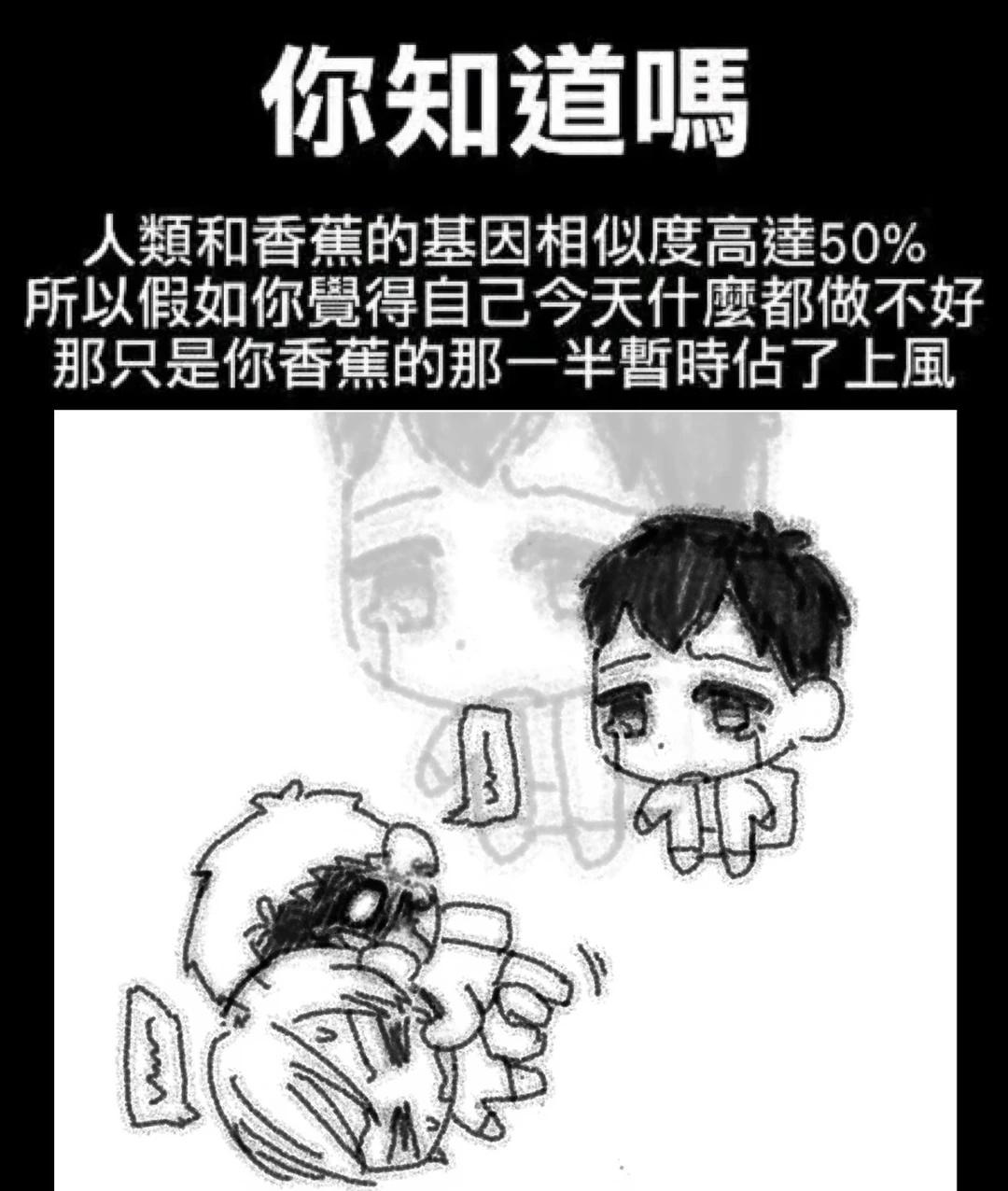 一些梗图改aot紧紧的家人rba莱纳贝尔托特