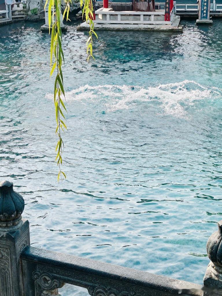 好品山东山东真的很特别，一半是山海壮阔，一半是人间烟火，随便去几处，都能走出一段