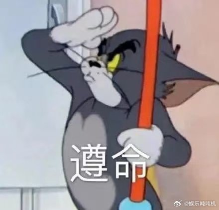 汤姆看到母猫还是不值钱的样看猫和老鼠星盘奇缘，汤姆见到京剧猫那反应太逗了，还是