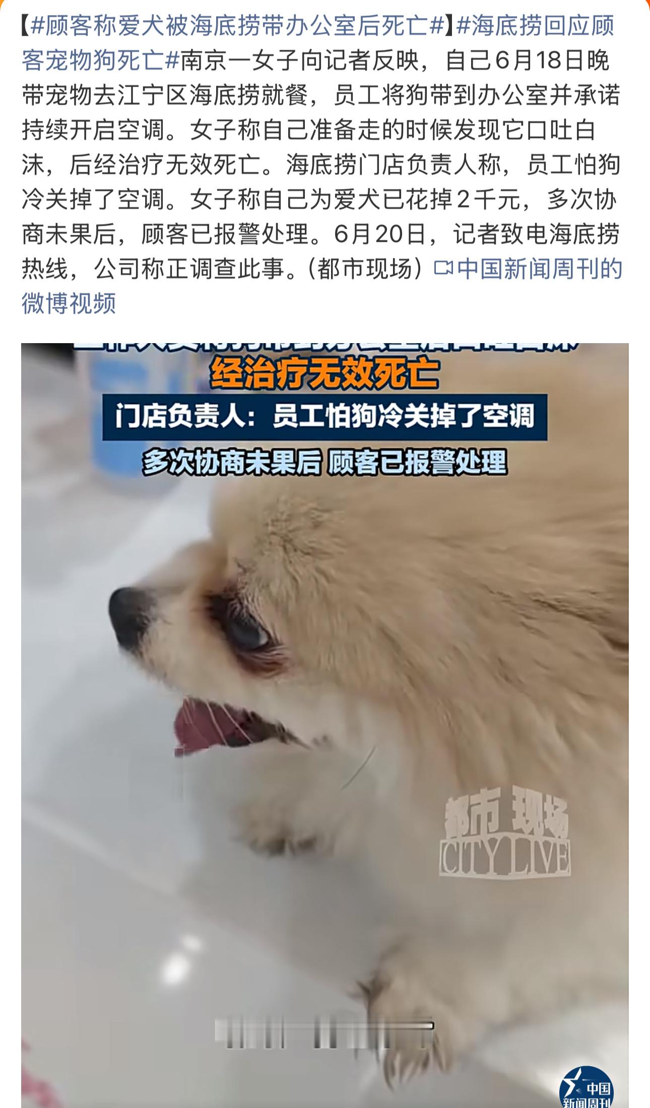 网友点评到位：既然带狗，拒绝用餐就好了。非要模糊服务的边界，被索赔是真活该。这下