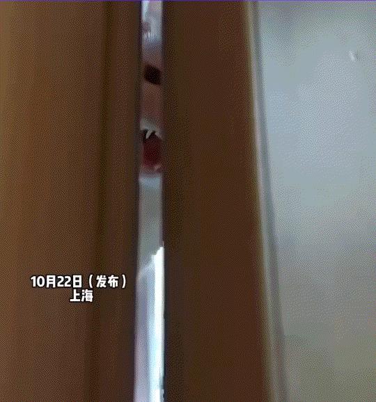 万万没想到，上海，一女子养了一年多的流浪猫，这天突然应激，期间不但疯狂攻击女子，