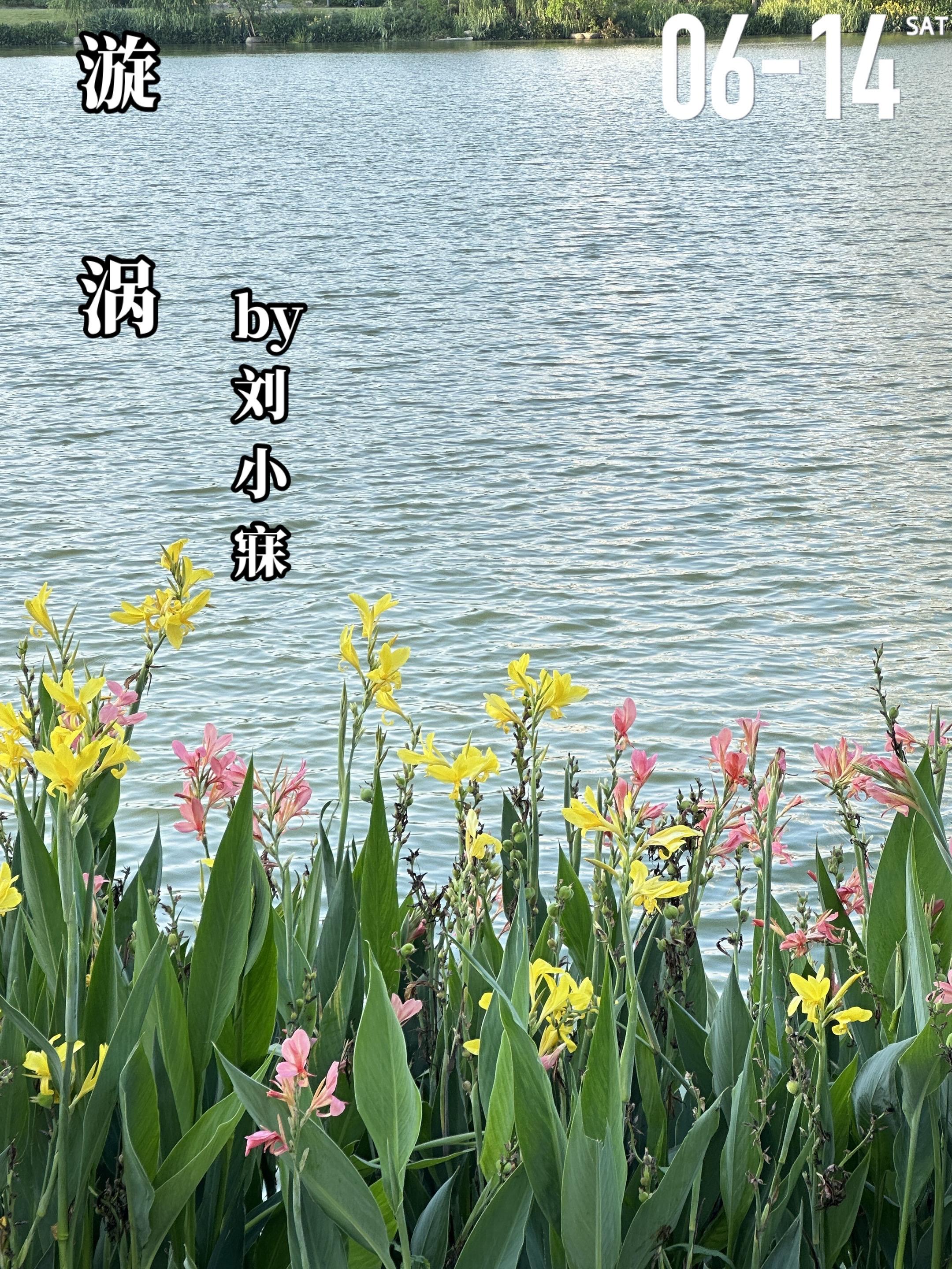 《漩涡》by刘小寐。白露与程彧的爱恨纠葛始于一张光盘、一场bang架 ...