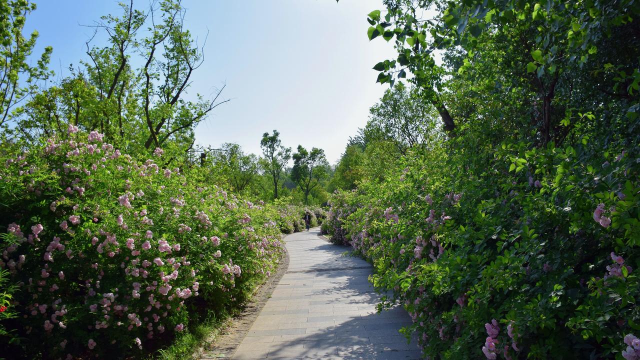 王婶的儿子40岁，离婚10年，只因年轻时和老表一起，赌博输了40万，媳妇带着一岁