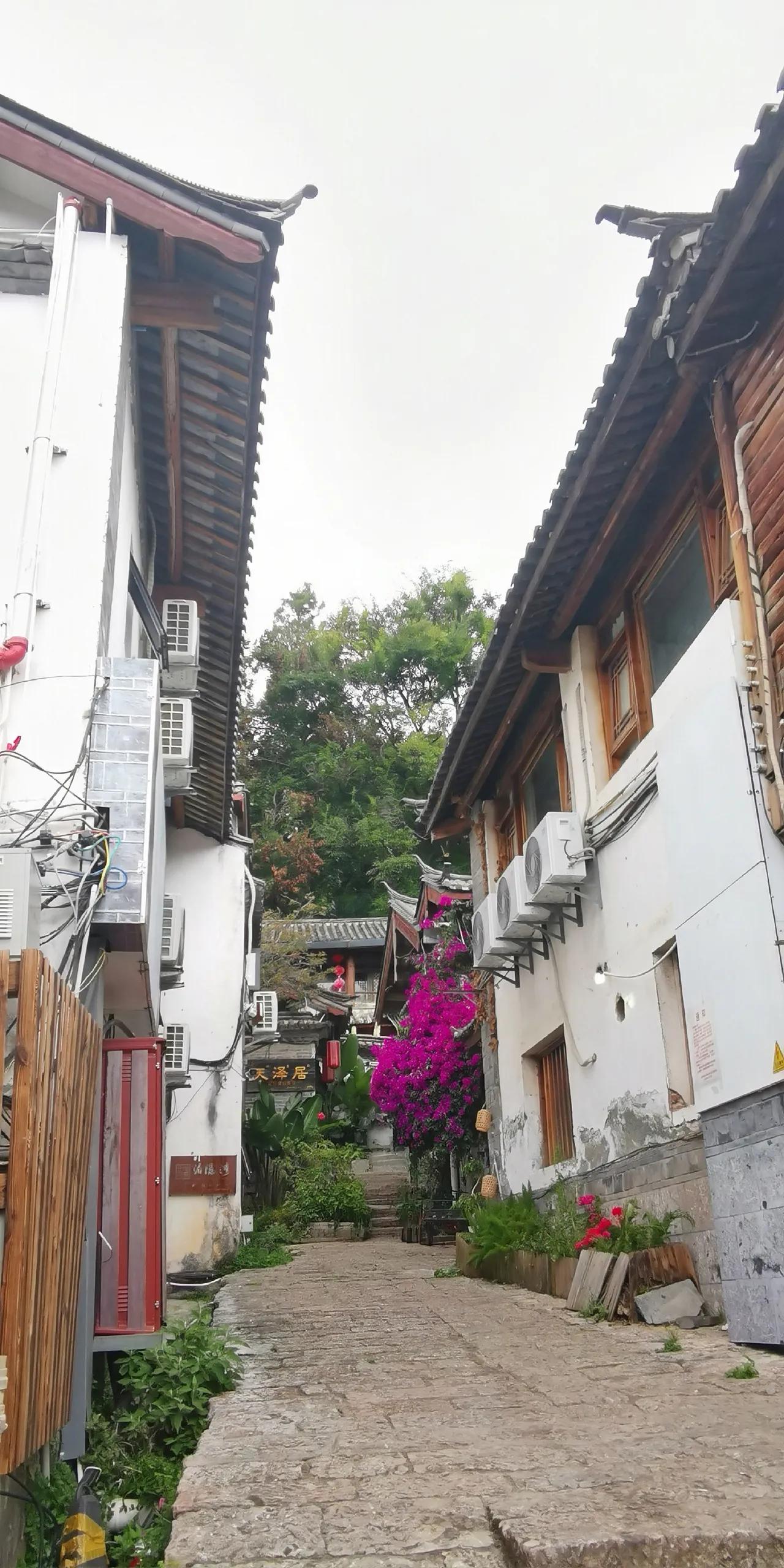 虽然没有现代都市“大家闺秀”那样的排面，却也不失古镇“小家碧玉”般的模样。