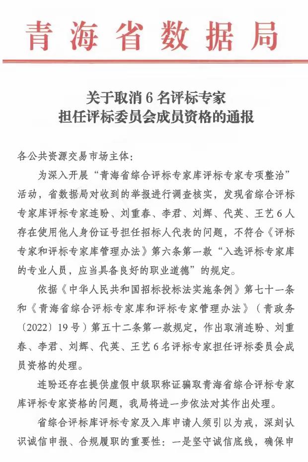 评标专家，果然藏龙卧虎，卧龙凤雏。