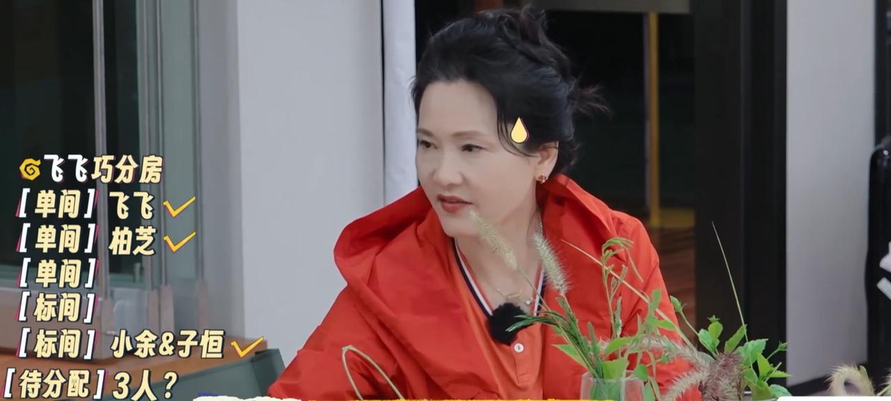 何赛飞私自决定这个事情，真是不怕刘嘉玲，刘晓庆，宁静“黑脸”。刘嘉玲，刘