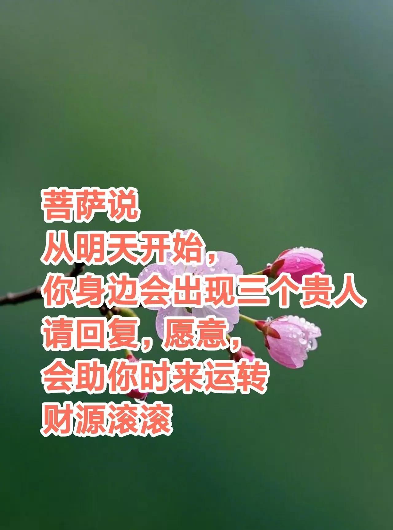 菩萨说了，从明天开始，你身边会出现三个贵人，第一个保护你的人，第二个帮助你的人，