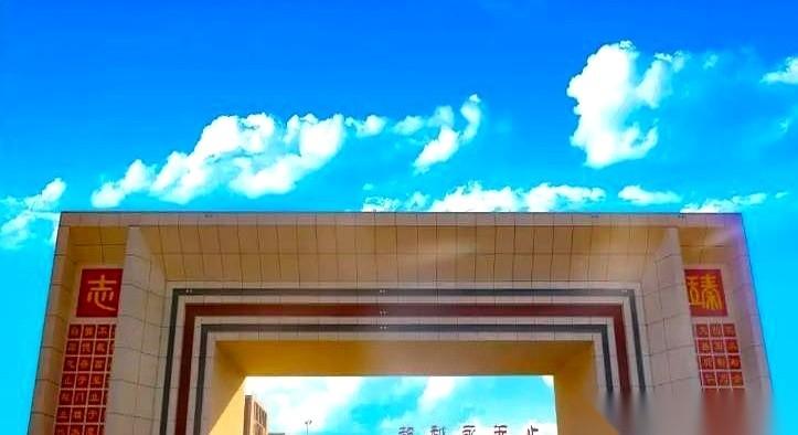 安平志臻学校，那个砸了二十多亿，硬生生堆出来的高考神校，出事了。今年，1335