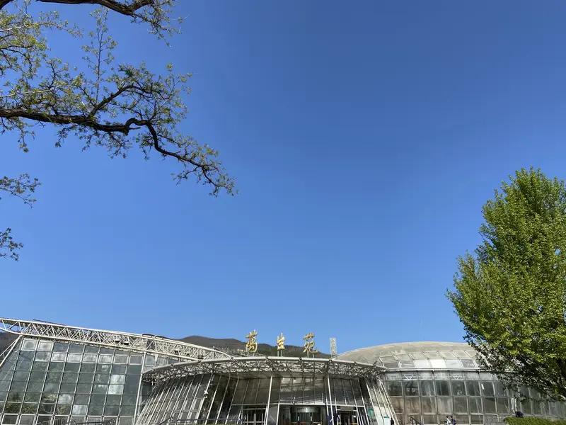 现在不管农村还是城市，光棍现象都挺严重。就说农村，我们村就有二三十个光棍，附近村