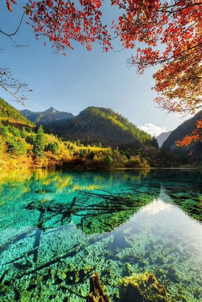 有一种秋叫九寨沟，五彩缤纷，风景如画。​​​​