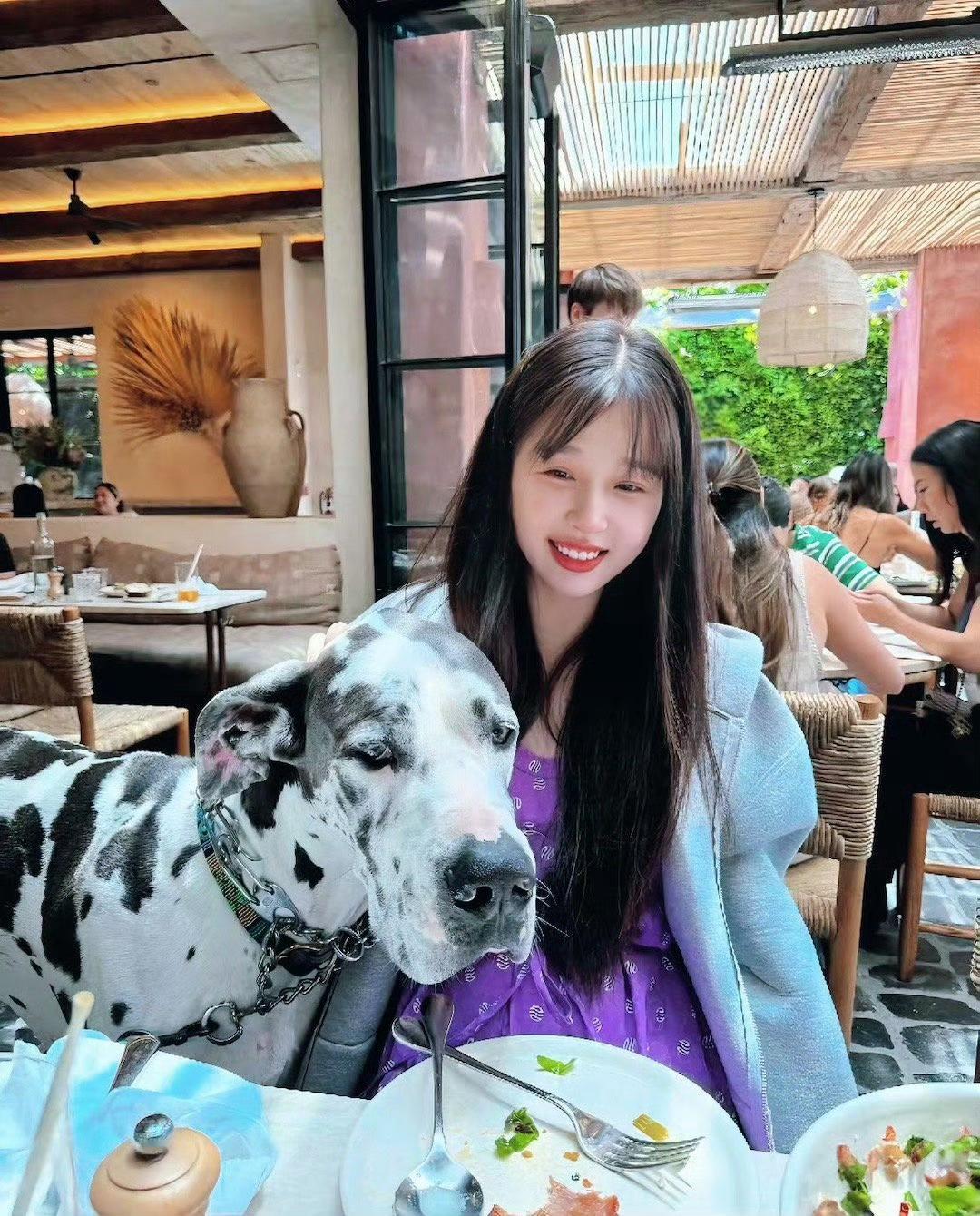 去年今日虞书欣的这组图就是正面是猪宝，背面是妈咪。​​​