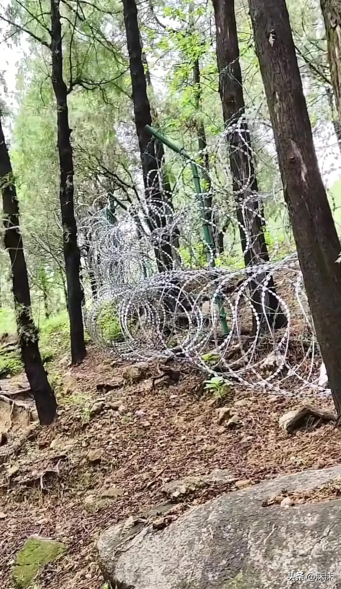 民众连日来对于泰山山顶刀片铁丝网的争议与呼吁，终于迎来实质性回应。6月30日泰山