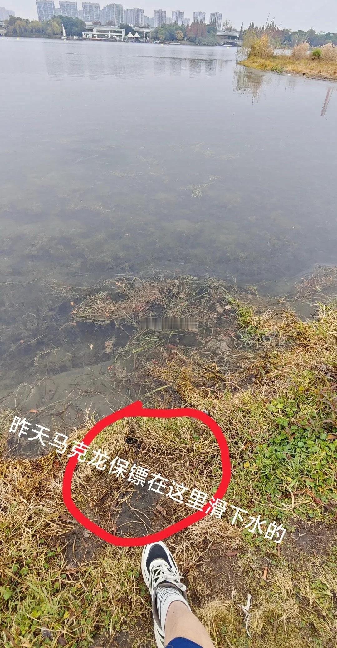 5日早晨，马克龙在锦城湖公园跑步，随行保镖掉入湖里，很多网友好奇是什么原因，捞东