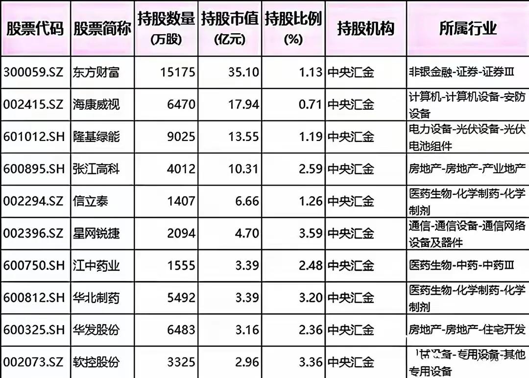 中央汇金和证金公司持有的多只A股股票信息，包括每只股票的：-股票代码-