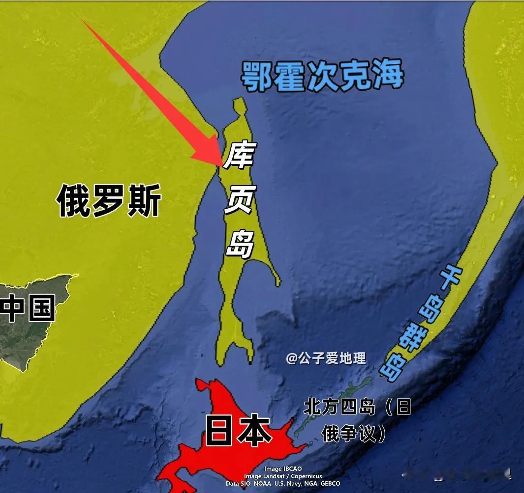 俄国历史教科书：库页岛是1875年日本割让给沙俄的，和清朝没关系。俄罗斯部分