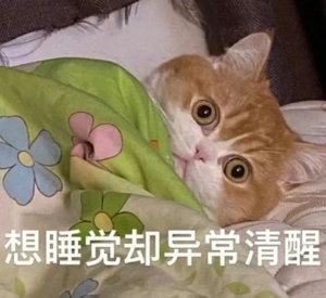 今年ig更新的比围脖上来说……不是一般的频繁别管，窝又要多想了[滑稽笑][滑稽笑]
