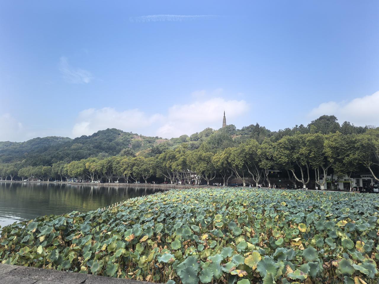 东湖西湖各有千秋[玫瑰][比心][玫瑰]武汉东湖和杭州西湖谁更美，这还真不