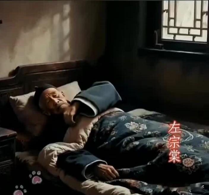 1885年9月，左宗棠在病榻上离世时，愤慨地说：“对中国来说，十个法国将军，也比