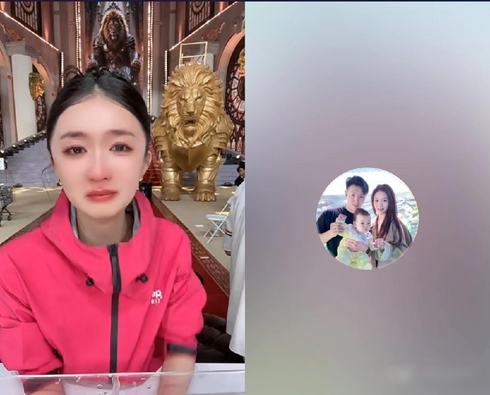 辛巴一句话，亲手拆了徐杰和赵梦澈的CP，还当着几万人面骂“傻帽”。你还记得吗