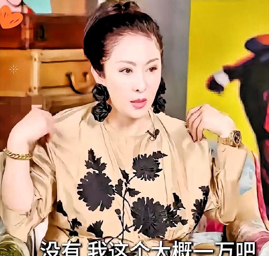 太讽刺了！向太摸着自己身上的衣服说：“我现在不追求奢侈品牌了，我身上这件衣