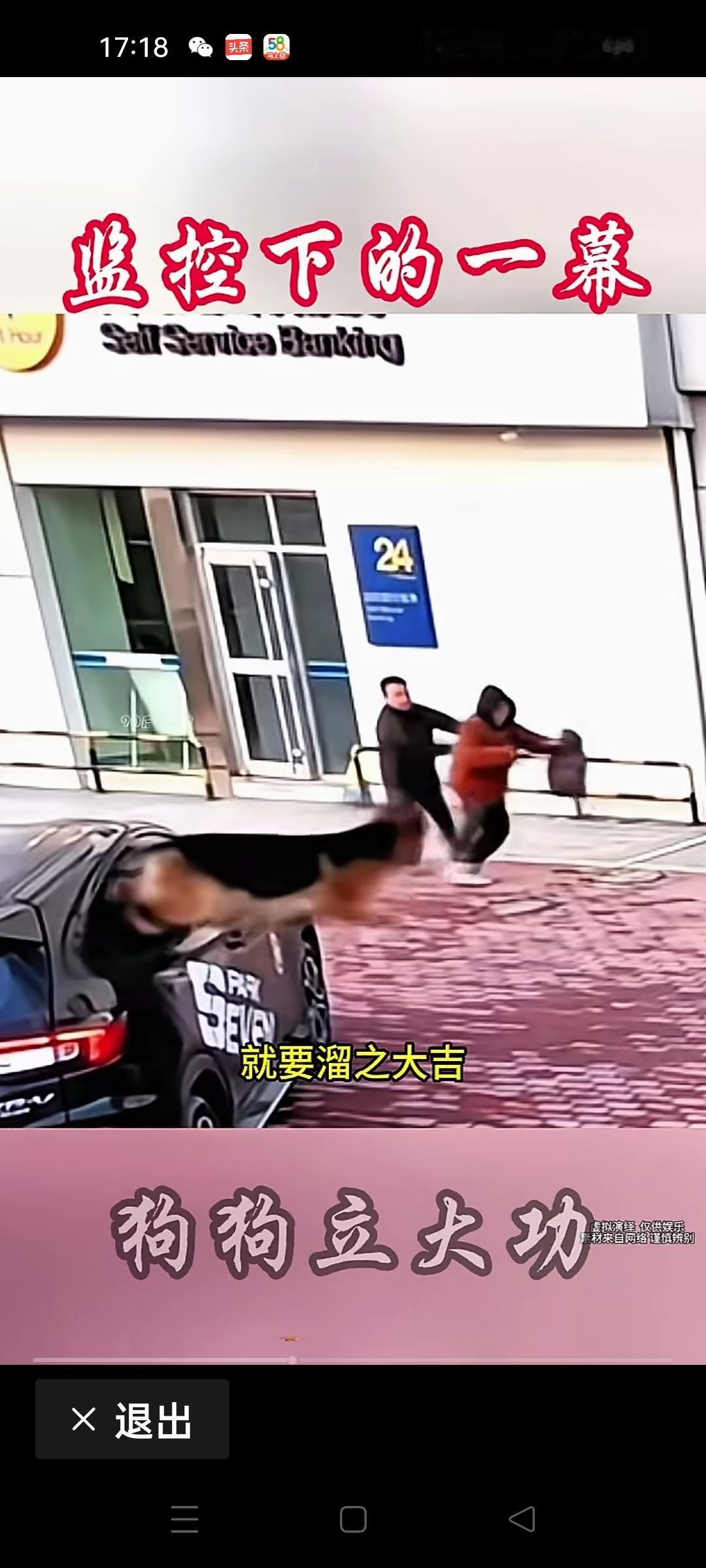 我们可以用手指把图片放大，第一张是狗狗从车窗里蹿出来的情景，第二张是它不顾一切向