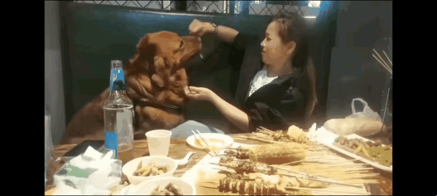 爱狗是个人自由，在家怎么宠、怎么疼爱，旁人都无权干涉。哪怕旁人难以理解，也是她