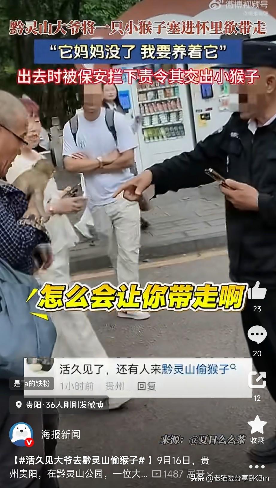 9月16日，贵州贵阳黔灵山公园，一位大爷干了件让人目瞪口呆的事——把一只小猴子塞