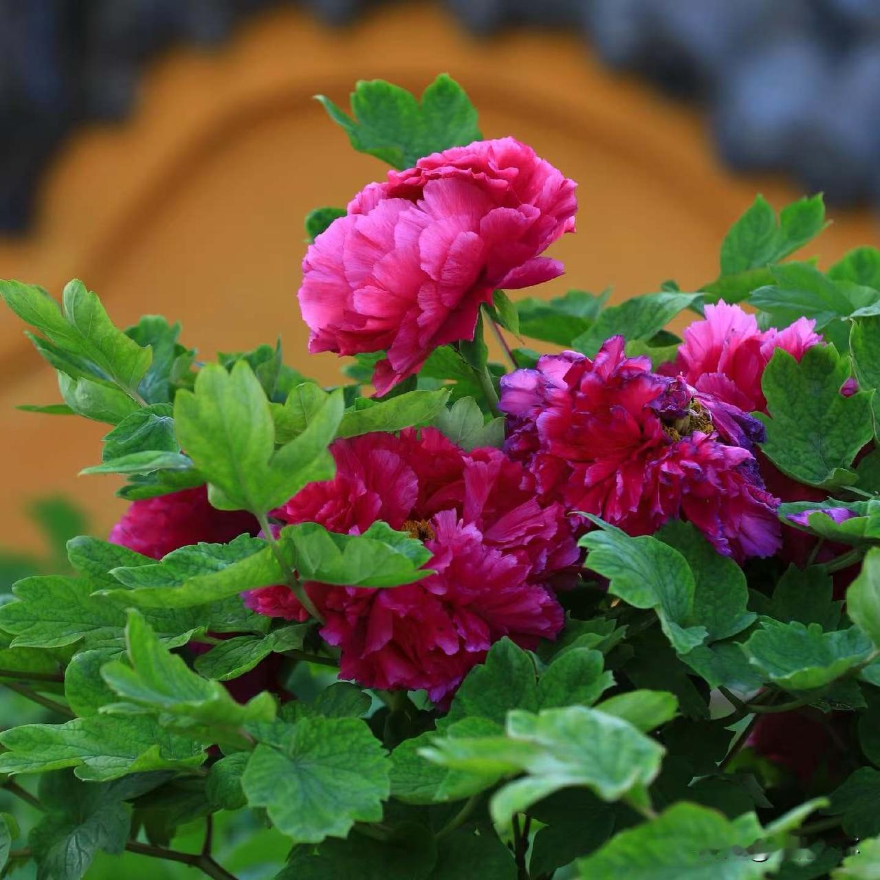 我们这个小县城，生活开支和物价水平并不低。一直习惯了早上在外面吃一碗面，或者是