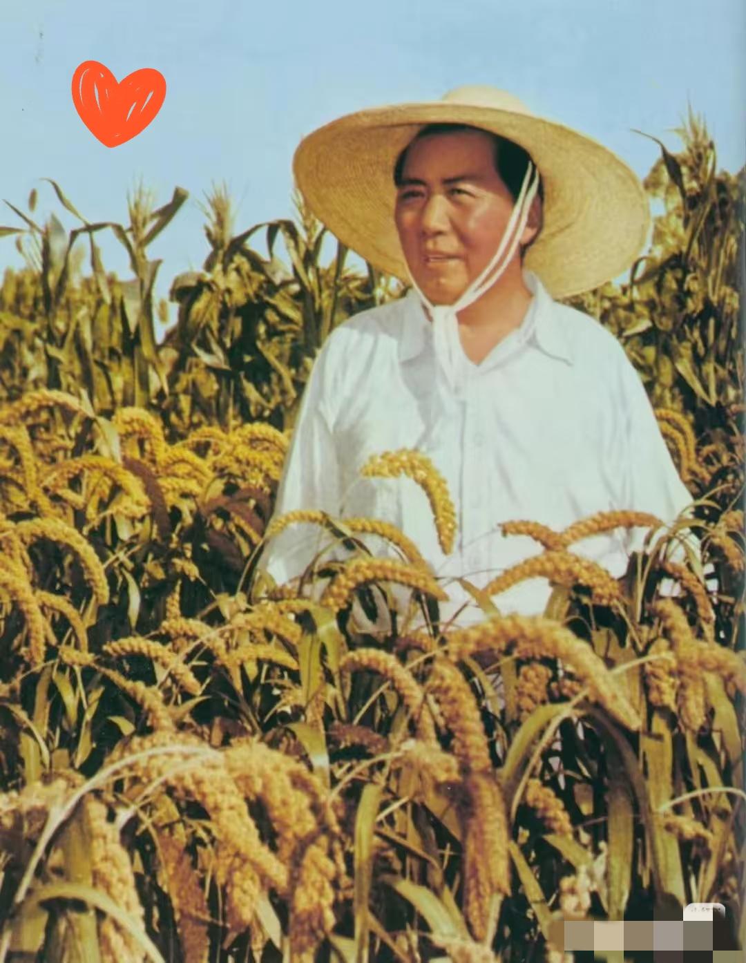 毛泽东最顶级的10句话，哪一句能让你扛过最难的时刻第一句：“打得一拳开，免得